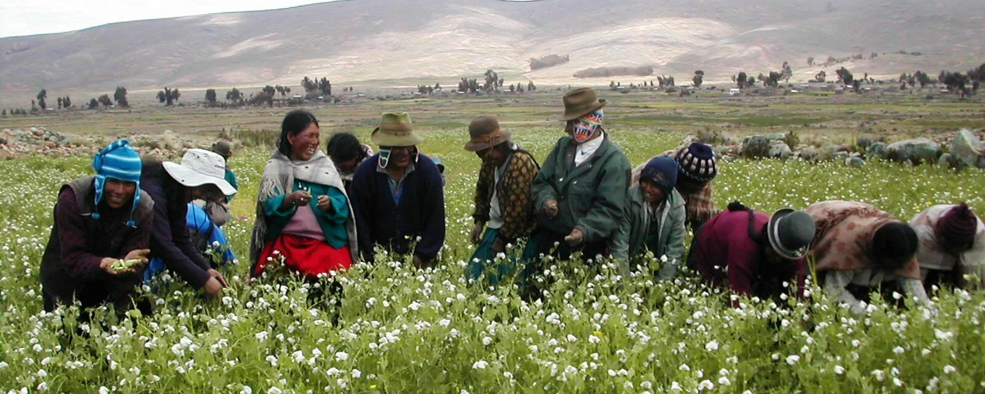 Agricultura familiar campesina en Bolivia Agricultura familiar campesina en Bolivia - Sputnik Mundo, 1920, 19.10.2023
