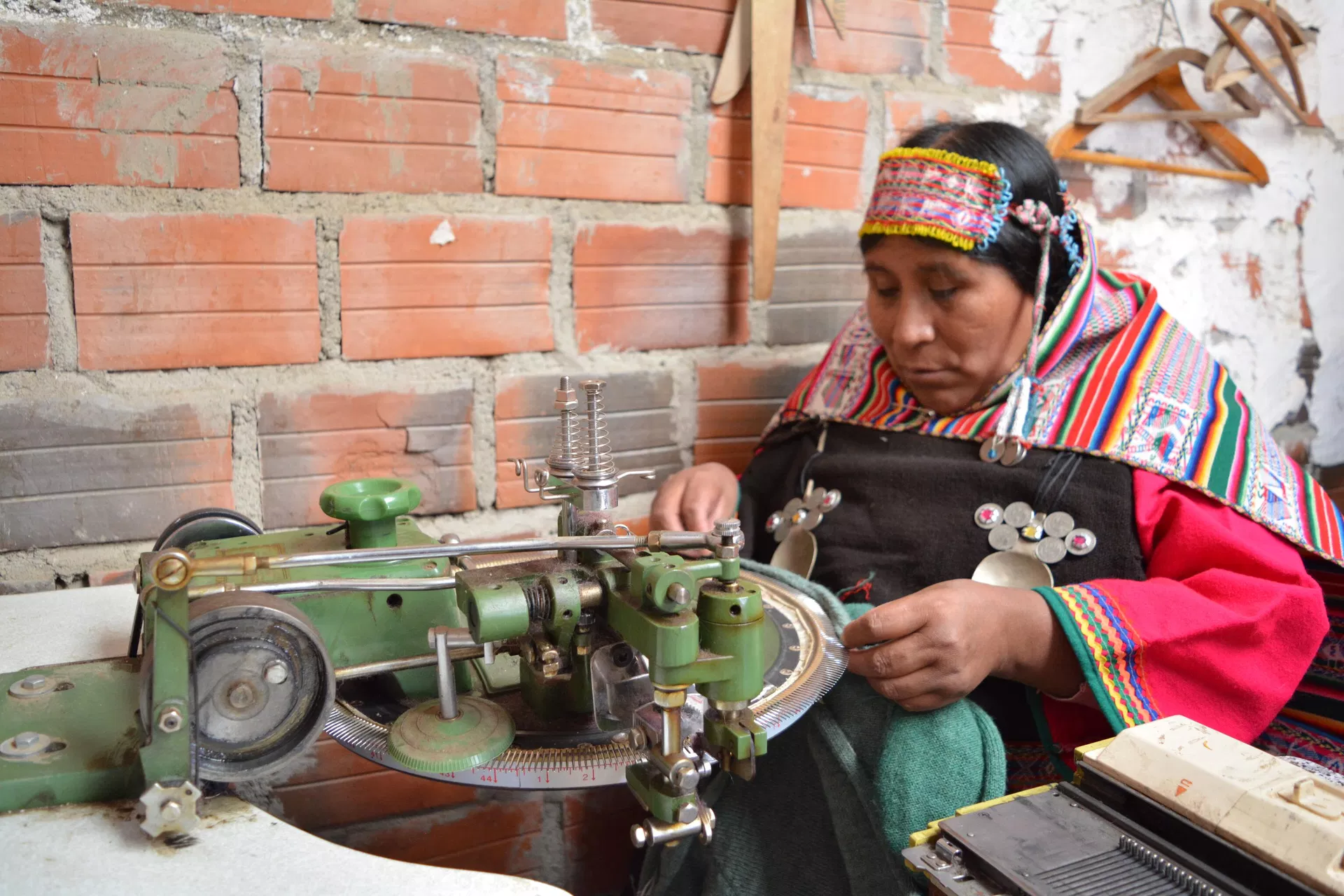 Mujeres bolivianas se suman a la industria de la llama con el programa Pro-Camélidos Mujeres bolivianas se suman a la industria de la llama con el programa Pro-Camélidos - Sputnik Mundo, 1920, 25.02.2024