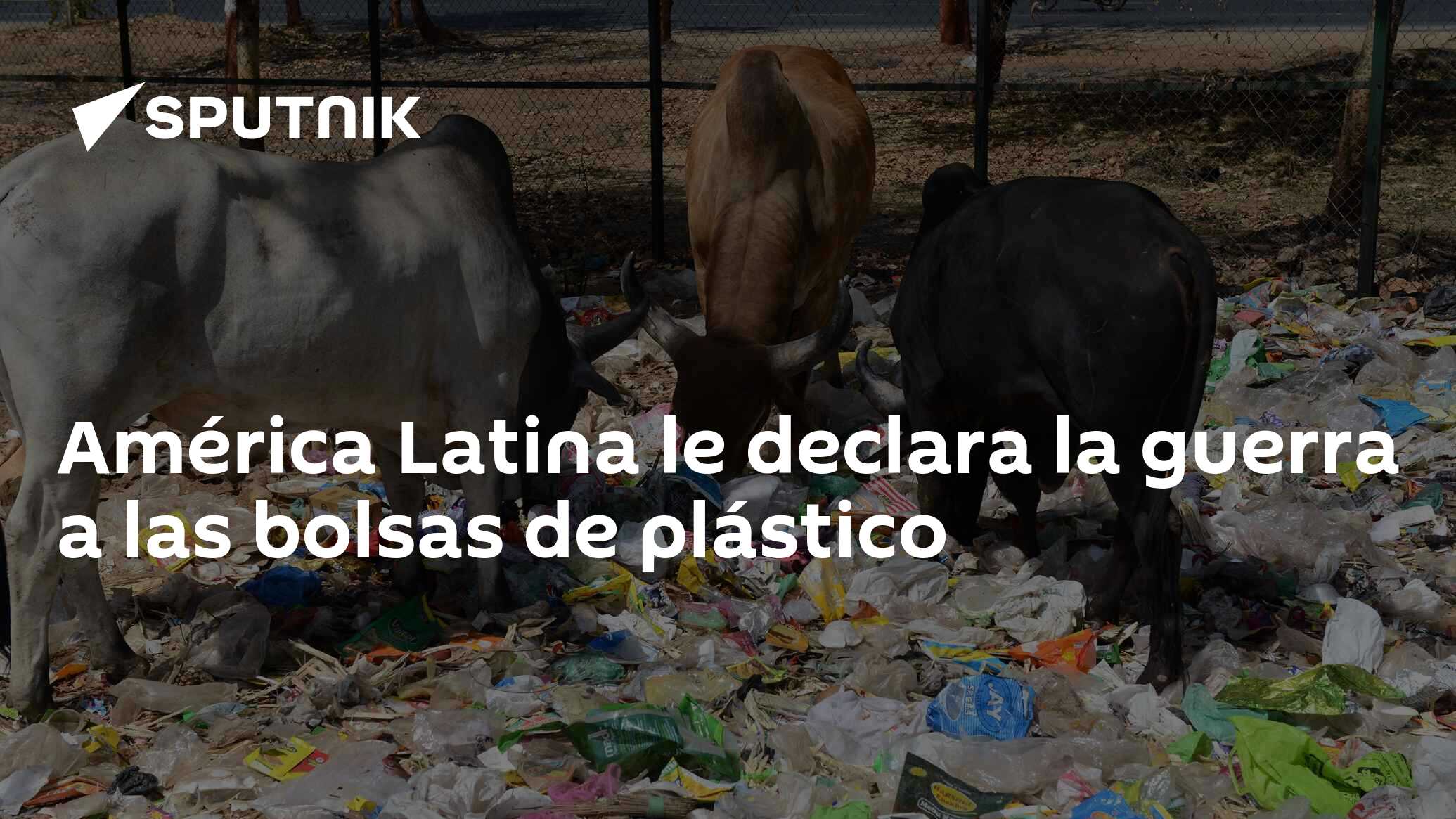 Bolsas para basura ¿Conoces su resistencia? - America Trade