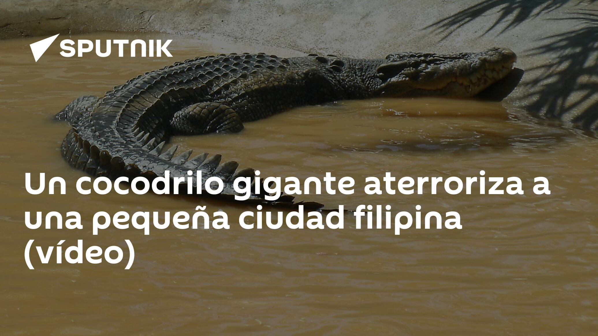 Un cocodrilo gigante aterroriza a una pequeña ciudad filipina (vídeo) -  , Sputnik Mundo