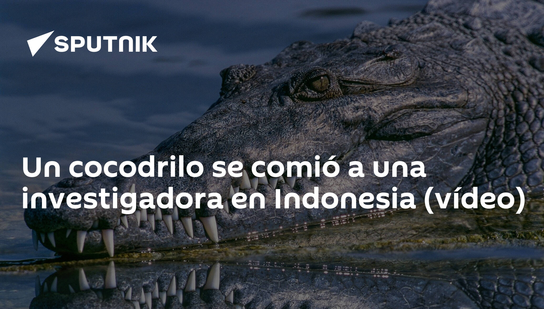 Un cocodrilo se comió a una investigadora en Indonesia (vídeo) -  , Sputnik Mundo