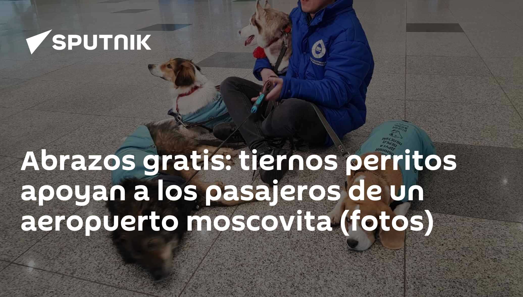 Las mascotas están bienvenidas!❤️🐶 – Foto de O Colmado D'arou