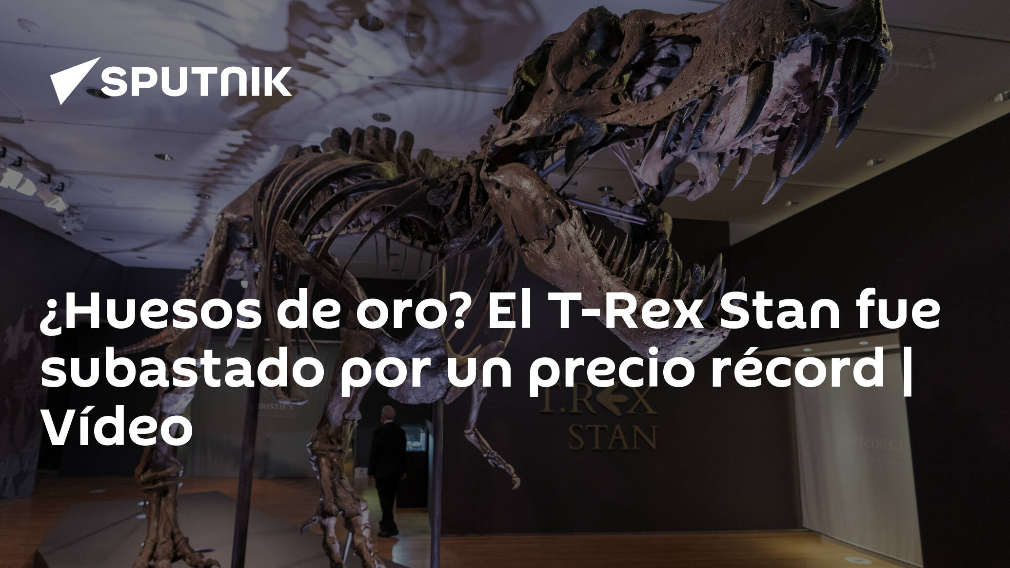 Huesos de oro? El T-Rex Stan fue subastado por un precio récord | Vídeo -  , Sputnik Mundo