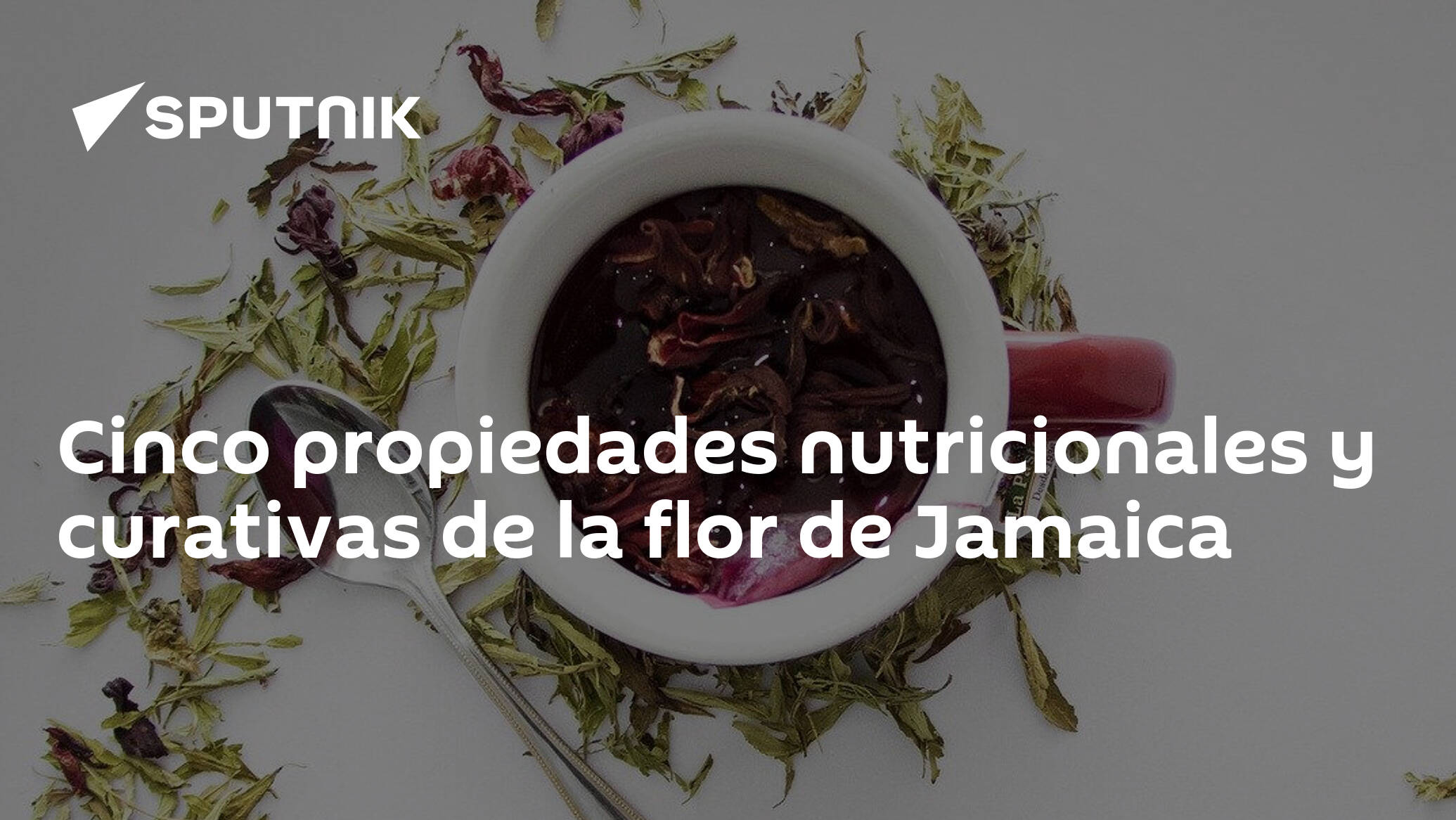 Cinco propiedades nutricionales y curativas de la flor de Jamaica -  , Sputnik Mundo