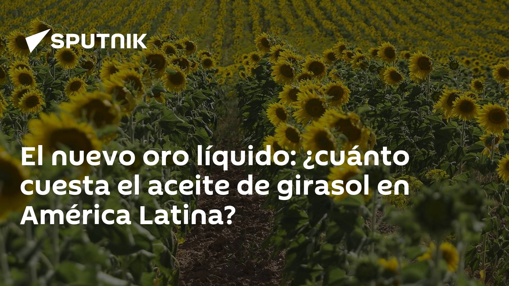 El nuevo oro líquido: ¿cuánto cuesta el aceite de girasol en América  Latina? , Sputnik Mundo