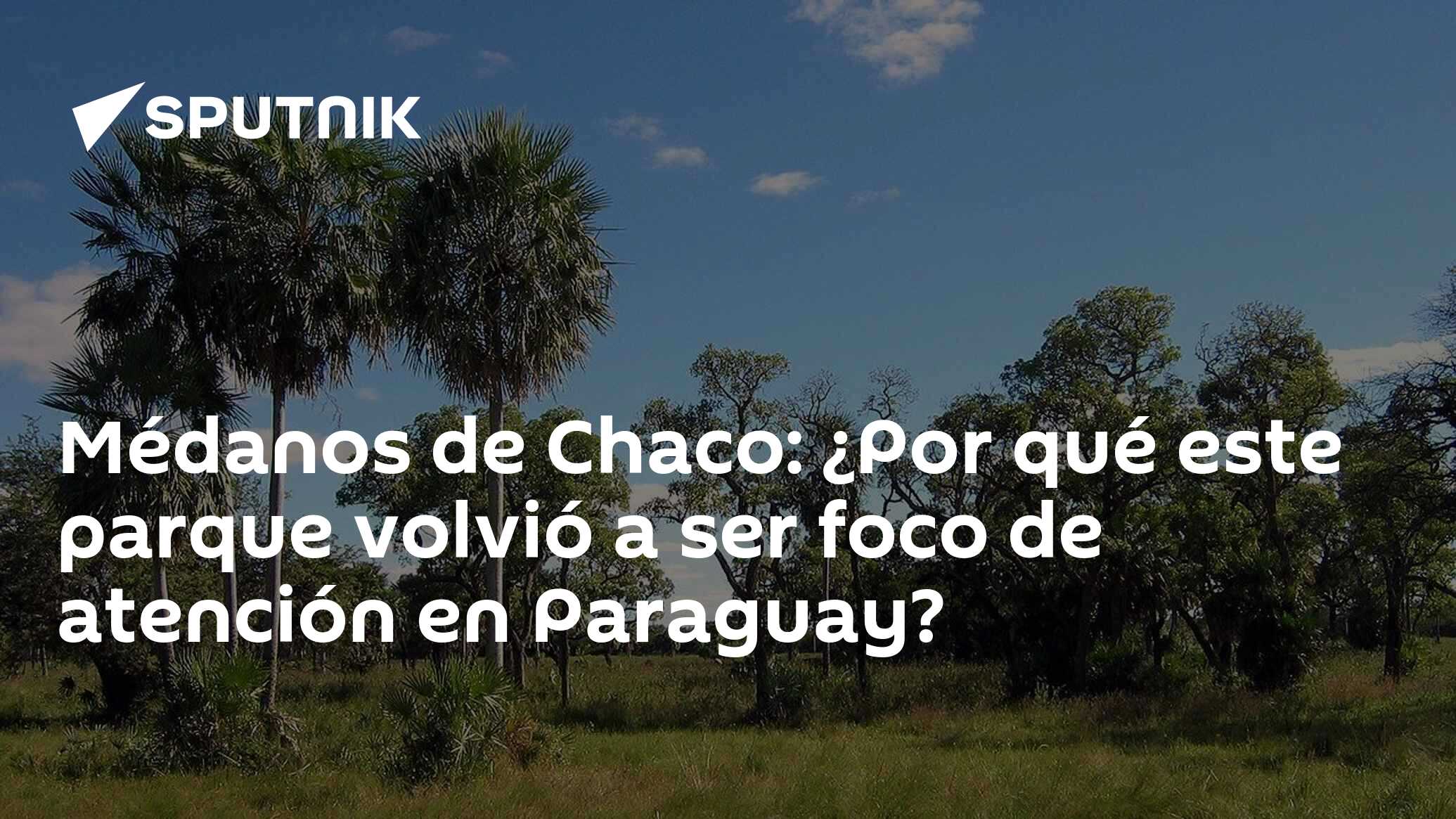 M danos de Chaco Por qu este parque volvi a ser foco de