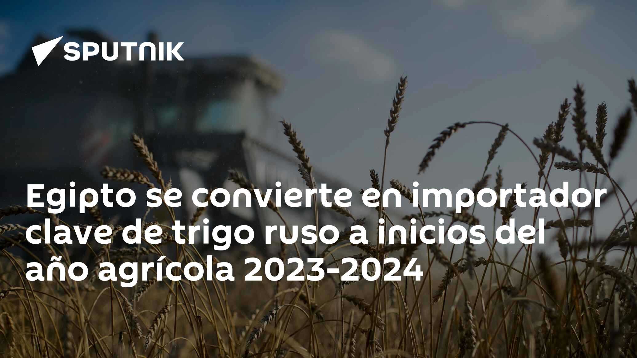 Egipto Se Convierte En Importador Clave De Trigo Ruso A Inicios Del Año Agrícola 2023 2024 07 5762