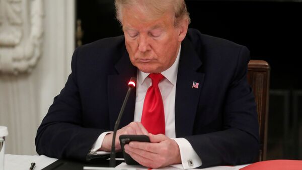 Donald Trump, presidente de Estados Unidos, utiliza su móvil - Sputnik Mundo