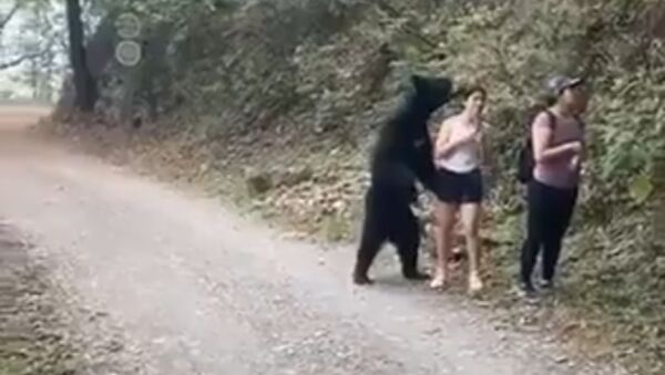 Un oso se pone de pie para hacerse una selfi con una muchacha - Sputnik Mundo