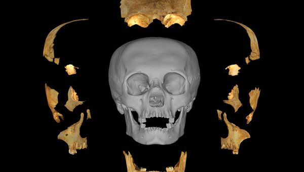 Modelo 3D del cráneo artificialmente deformado descubierto por Miguel Rodríguez Ferrer en Maisí (Cuba) - Sputnik Mundo