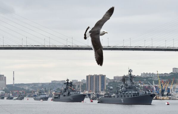 Чайка во время празднования Дня Военно-морского флота во Владивостоке - Sputnik Mundo