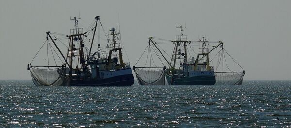 Barcos pesqueros Barcos pesqueros - Sputnik Mundo