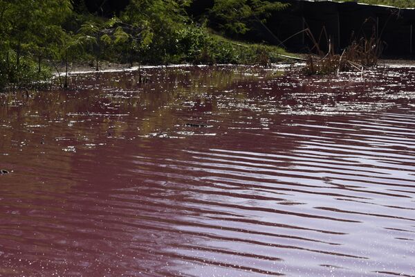 ¿Qué tiñó de rojo un lago en Paraguay? ¿Qué tiñó de rojo un lago en Paraguay? - Sputnik Mundo