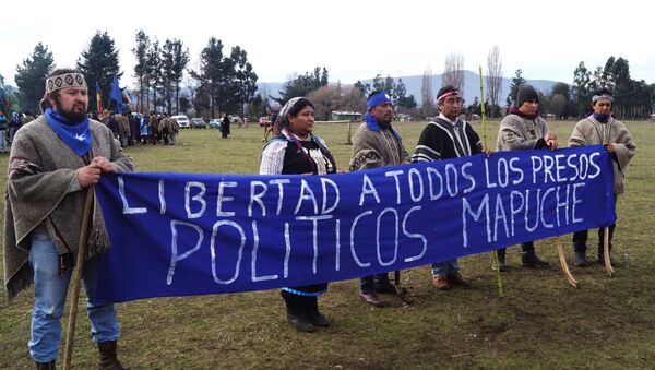 Pedido de libertad a los presos políticos mapuche - Sputnik Mundo