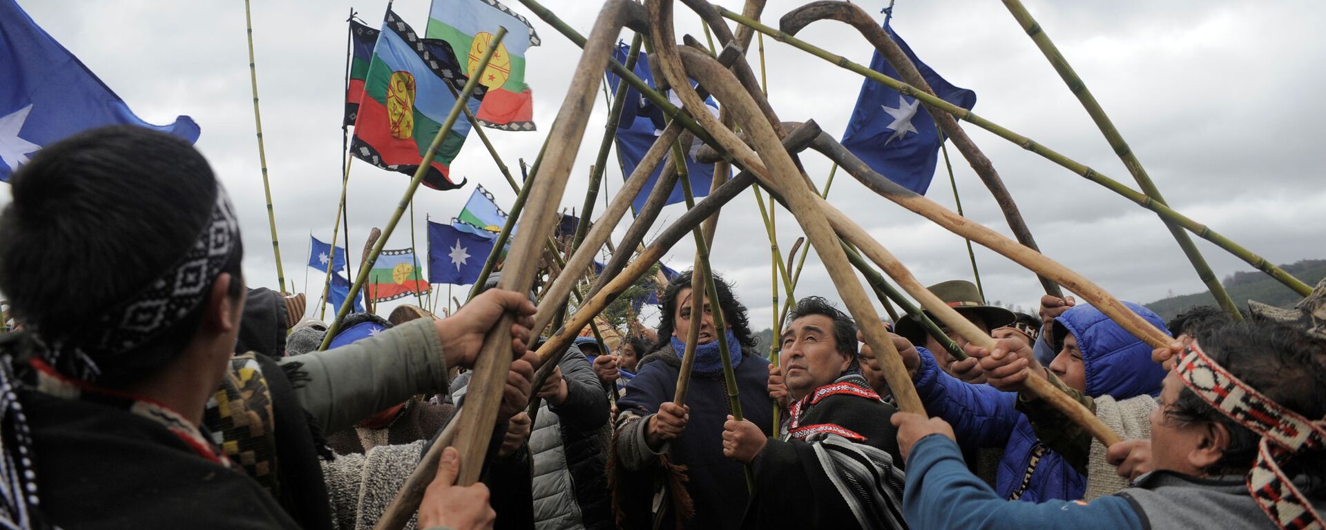 Protesta de la comunidad mapuche en Chile - Sputnik Mundo, 1920, 18.08.2020