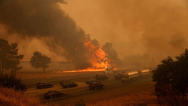 Incendios forestales en California, EEUU - Sputnik Mundo