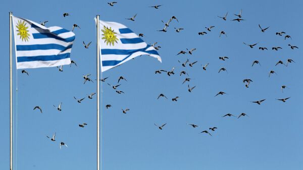 Banderas de Uruguay. Imagen referencial - Sputnik Mundo