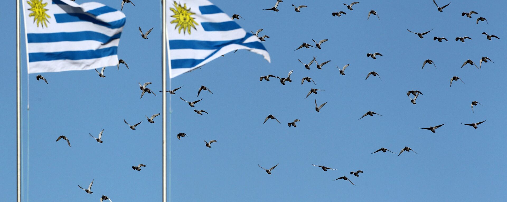 Banderas de Uruguay (Imagen referencial) - Sputnik Mundo, 1920, 08.12.2021