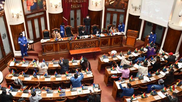 Una sesión de la Cámara de Deputados de Bolivia - Sputnik Mundo
