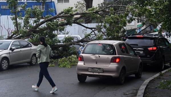 Consecuencias del tifón Maysak en Vladivostok, Rusia - Sputnik Mundo