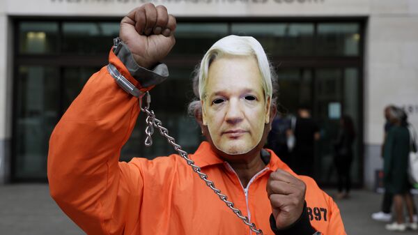 Un manifestante por la liberación del fundador de Wikileaks, Julian Assange - Sputnik Mundo