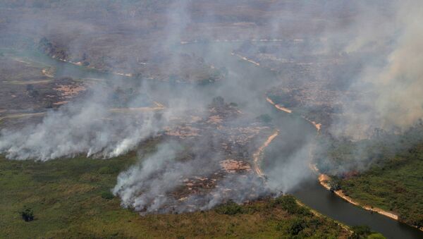 Incendios en Pantanal brasileño - Sputnik Mundo