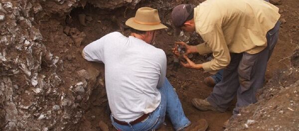 La excavación del Breal de Orocual La excavación del Breal de Orocual - Sputnik Mundo