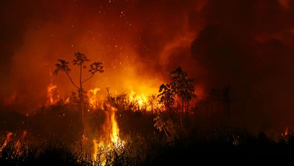 Incendios en el Pantanal - Sputnik Mundo