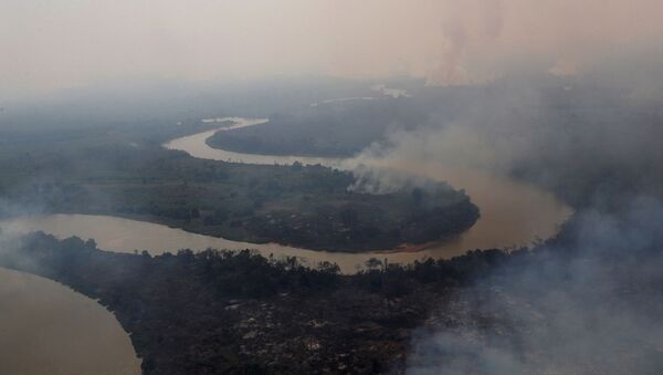 Consecuencias de los incendios en el Pantanal, Brasil - Sputnik Mundo