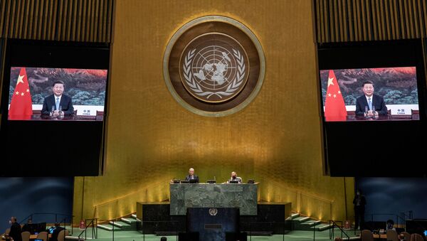 La 75 sesión de la Asamblea General de la ONU - Sputnik Mundo