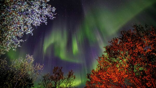Los cielos se visten de gala: disfruta la belleza de las auroras boreales de Múrmansk  - Sputnik Mundo