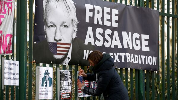 Una activista en las manifestaciones contra la extradición de Julian Assange (archivo) - Sputnik Mundo