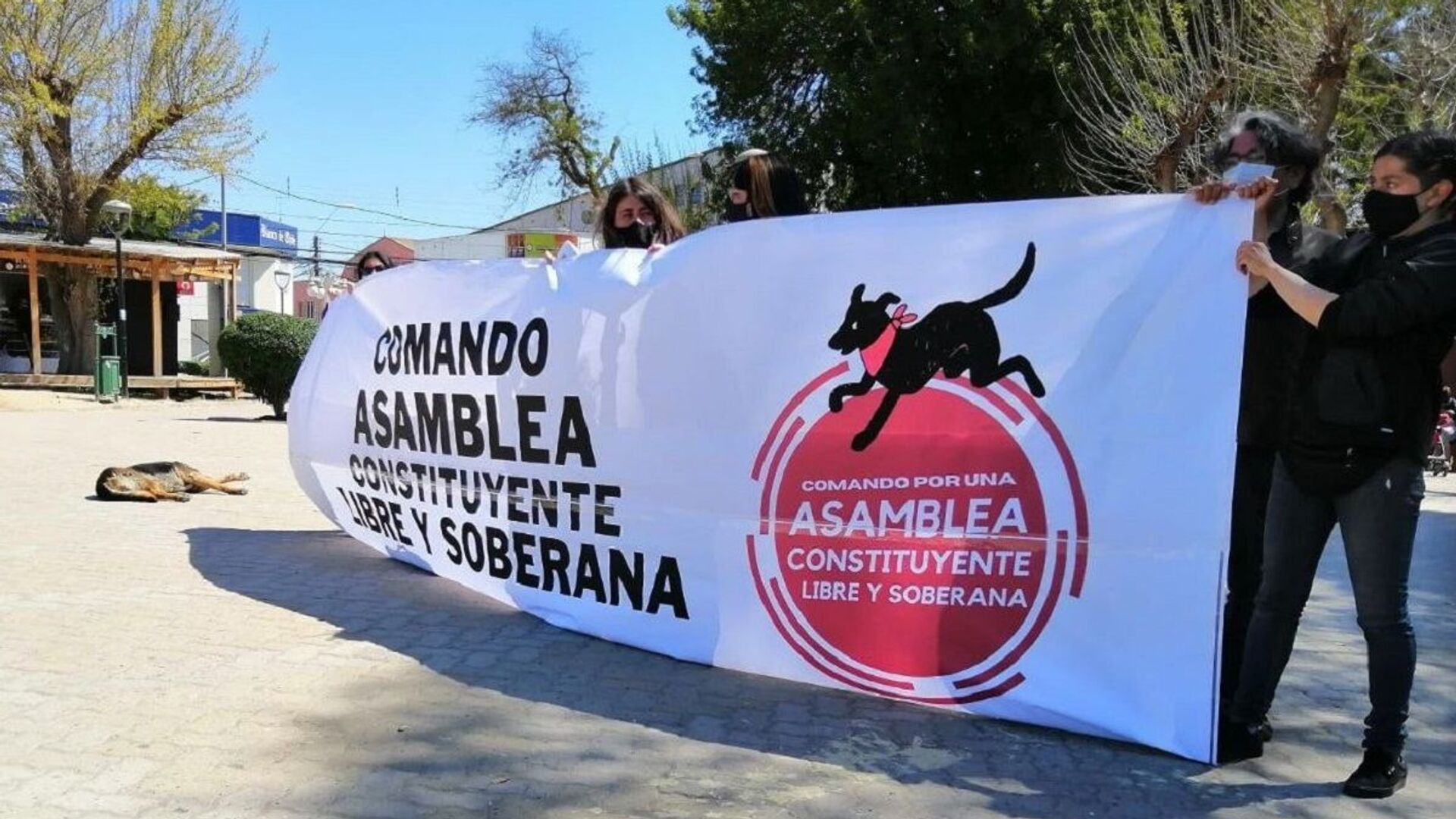 Manifestantes en Chile reclamando una Asamblea Constituyente Libre y Soberana - Sputnik Mundo, 1920, 12.09.2022