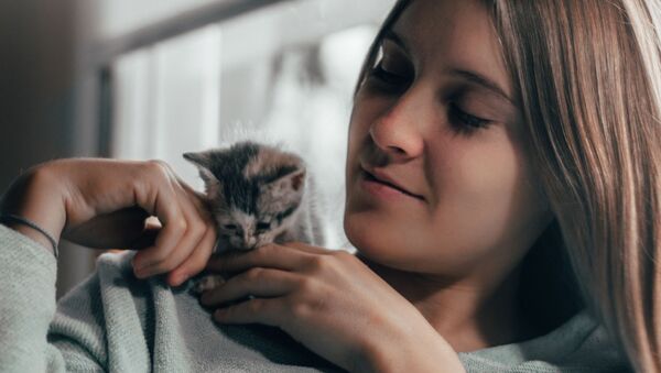 Una muchacha y un gatito - Sputnik Mundo