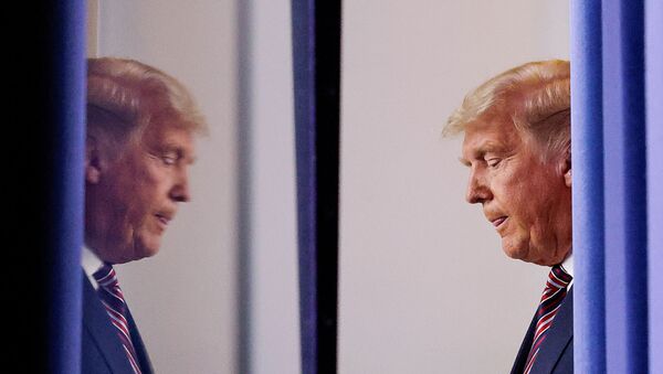 El presidente de EEUU, Donald Trump, en la Casa Blanca, Washinton, EEUU, el 5 de noviembre. - Sputnik Mundo