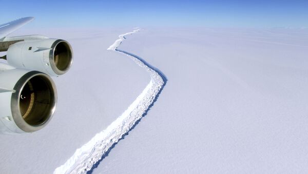 Una grieta en la plataforma de hielo Larsen C de la península Antártica - Sputnik Mundo