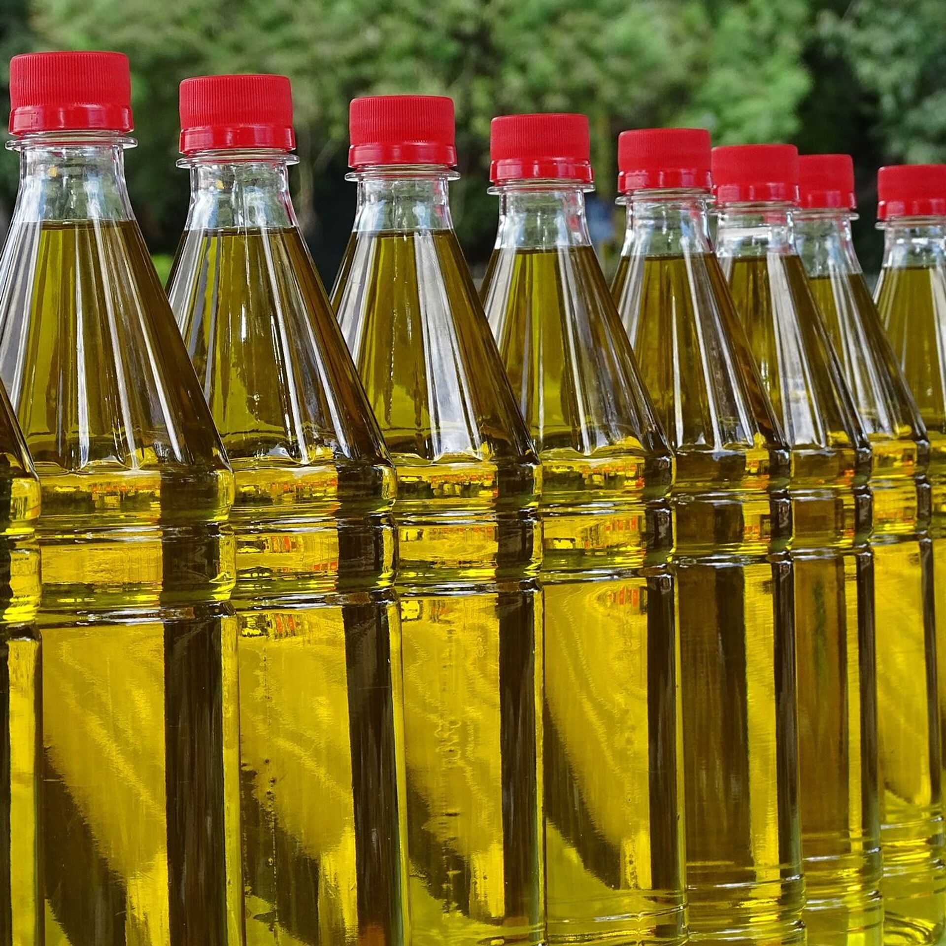 Сосание масла отзывы. Производство подсолнечного масла. Подсолнечное масло фото. Завод по изготовлению растительного масла в Казахстане.