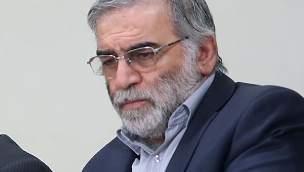 El físico nuclear iraní, Mohsen Fakhrizadeh - Sputnik Mundo