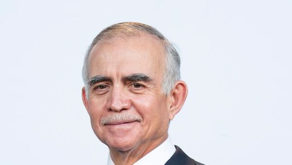 Alfonso Romo Garza, coordinador general de la Oficina de la Presidencia de México - Sputnik Mundo