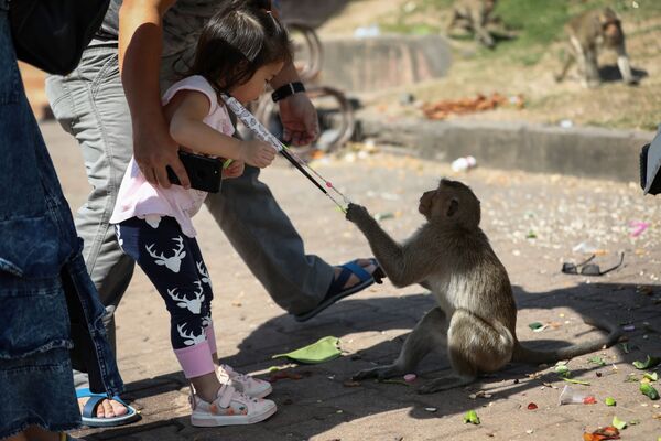Un mono tailandés le arranca la mascarilla a un niño durante el Festival de los Monos, en Lopburi, Tailandia. - Sputnik Mundo