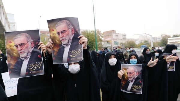 Manifestación contra el asesinato del científico iraní Mohsen Fajrizade en Teherán, Irán - Sputnik Mundo