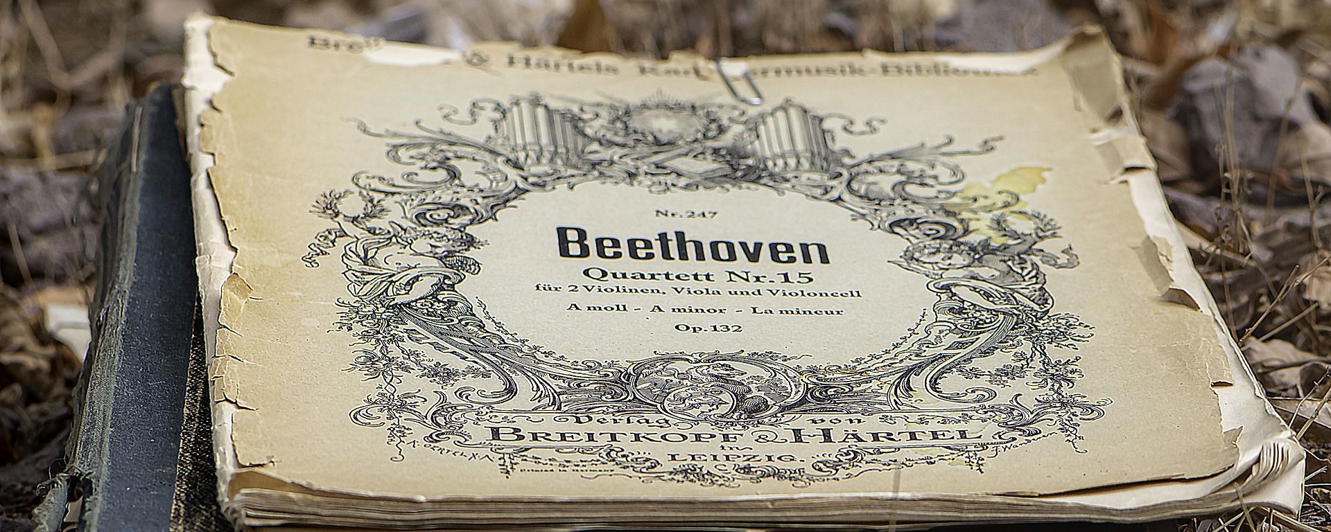 Una partitura del Cuarteto №15 de Ludwig van Beethoven - Sputnik Mundo, 1920, 18.12.2020