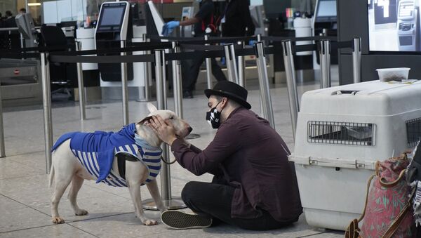 Турист с собакой в терминале 2 аэропорта Хитроу в Лондоне, Великобритания  - Sputnik Mundo