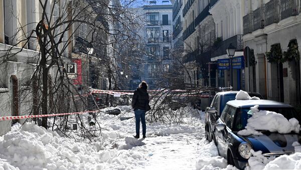 Una vecina en Madrid contempla los destrozos en la vía urbana tras la gran nevada - Sputnik Mundo