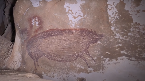 Una pintura del jabalí encontrada en una cueva indonesia - Sputnik Mundo
