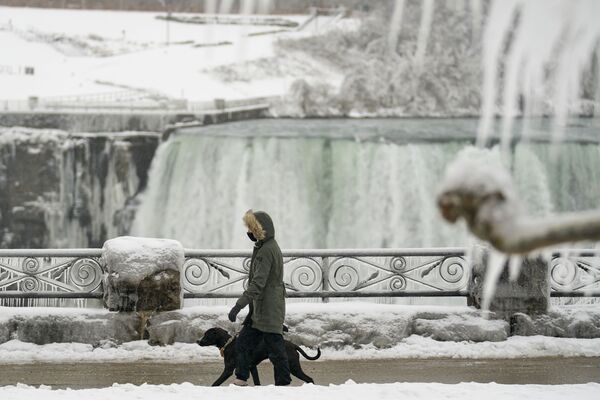 Solo en invierno se puede ver cómo la fuerza del agua de las cataratas golpea bloques de hielo.En la foto: una persona pasea con su perro en Ontario.   - Sputnik Mundo