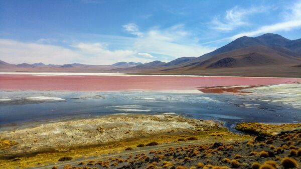 Laguna Colorada, Bolivia - Sputnik Mundo