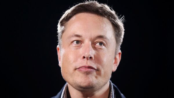 Elon Musk, director general de Tesla y SpaceX - Sputnik Mundo