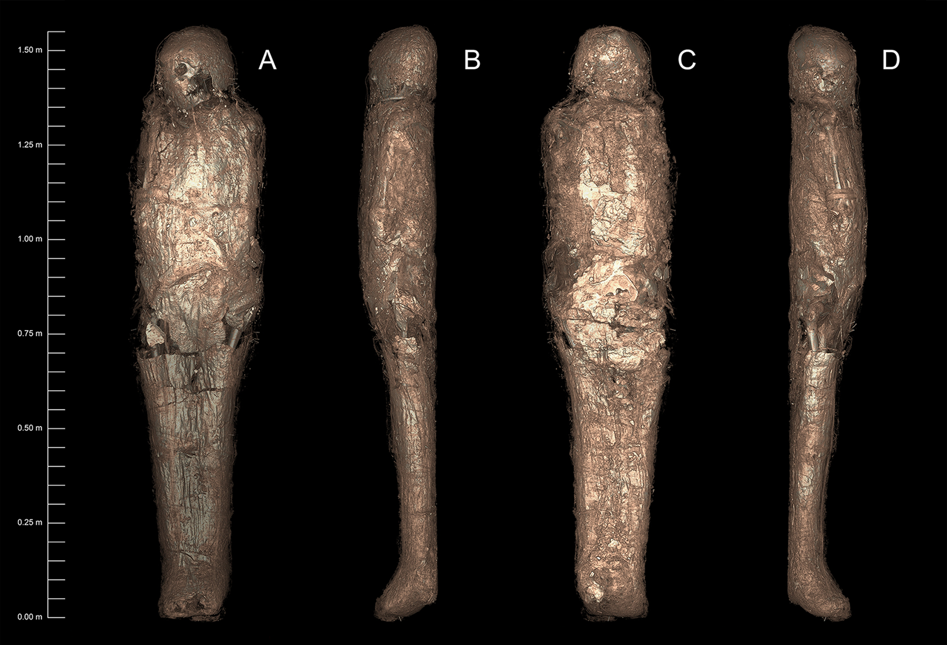 La momia envuelta en un caparazón de barro endurecido - Sputnik Mundo, 1920, 11.02.2021