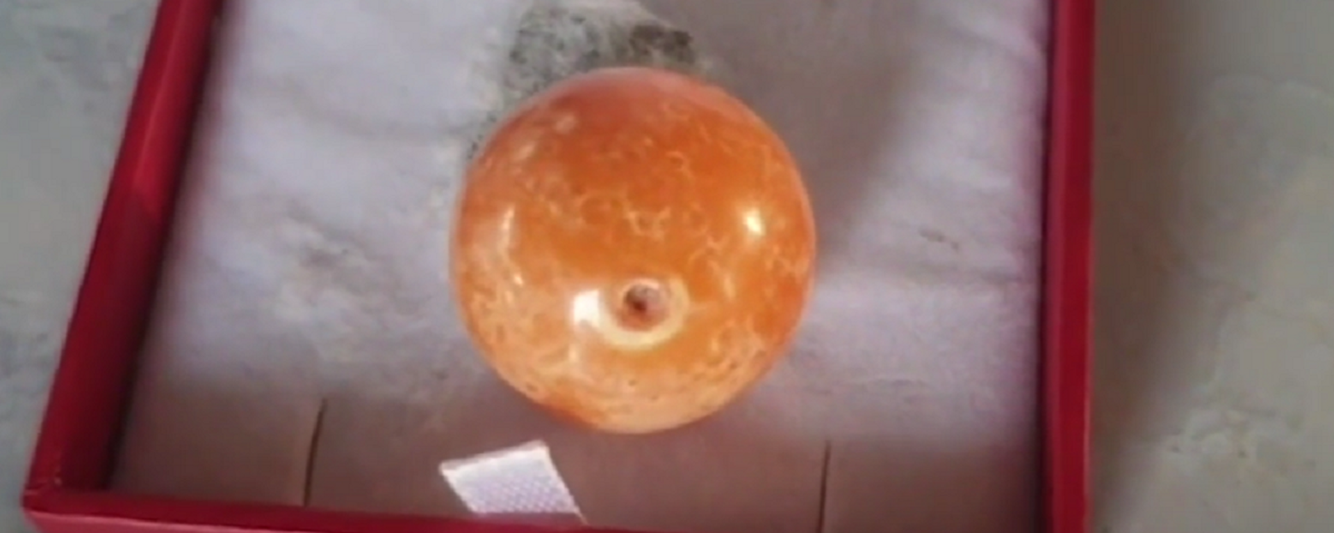 Un rara perla naranja, encontrada en Tailandia por unos pescadores - Sputnik Mundo, 1920, 08.02.2021